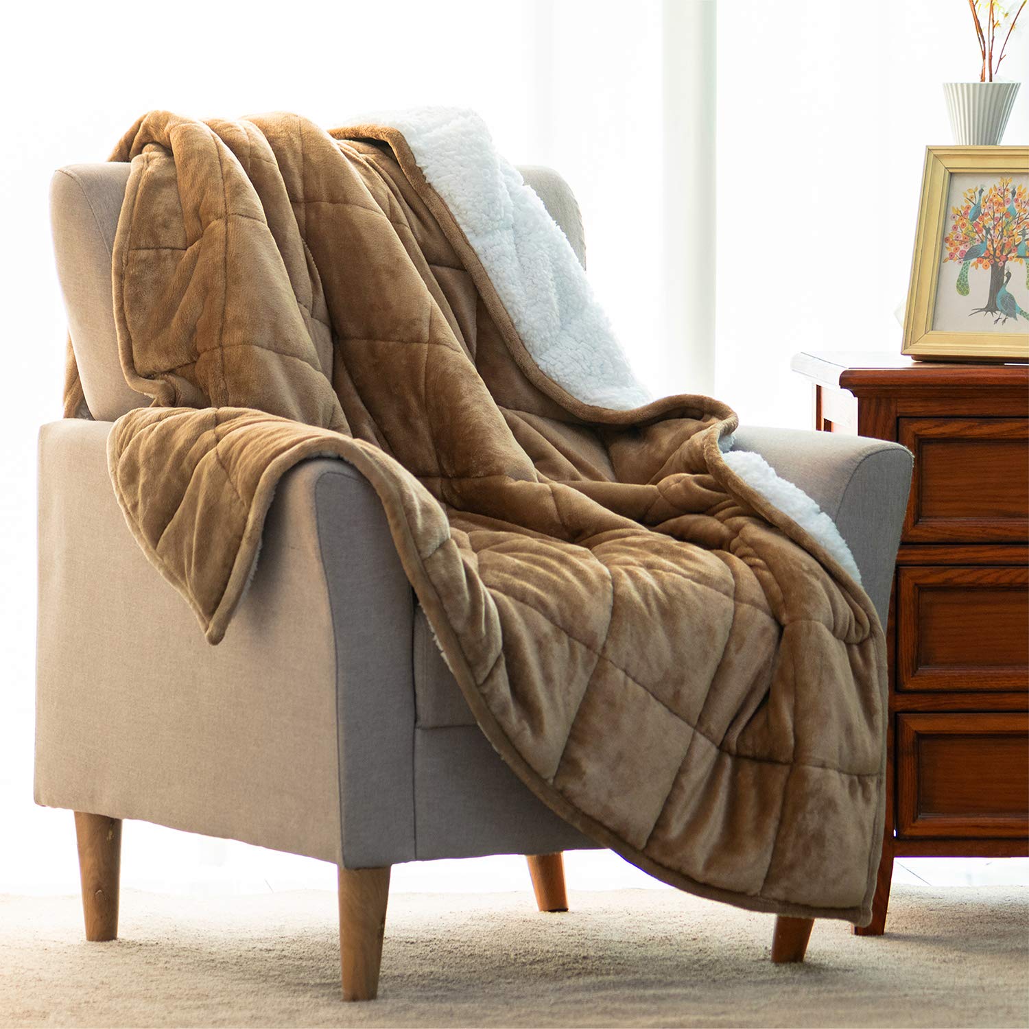 BUZIO Sherpa Fleece Weighted Blanket for Adult, 15 lbs Heavy Fuzzy Throw Blanket with Soft Plush Flannel, Dual Sided Queen Size Cozy Fluffy Blanket, 60 x 80 inches, Light Tan