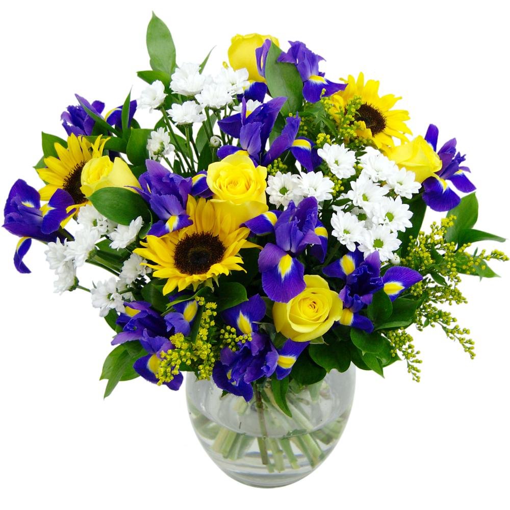 Clare Florist Enchanting Springtime Daze Fresh Flower Bouquet - Blue Iris, Sunflowers, Roses and White Chrysanthemums