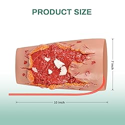 MedEduQuest Wound Packing Trainer, Open Fracture