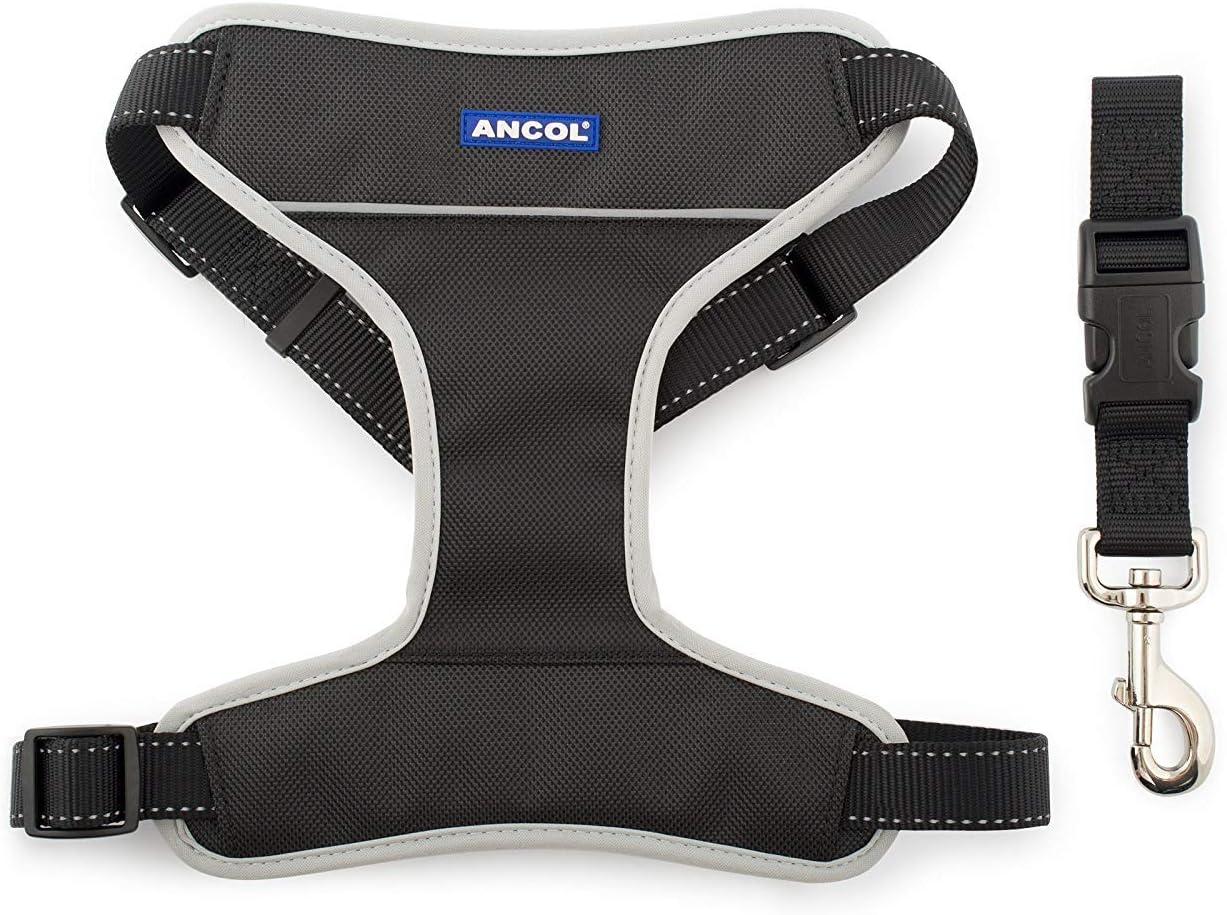 ancol dog car harness
