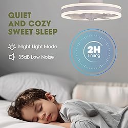 LUDOMIDE Ceiling Fans with Lights and Remote Flush
