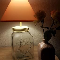 Mobel Wohnaccessoires Lampenschirme Savacaf Com Mehrere Farben Erhaltlich Klassisch Pfirsich 30 5 Cm Fur Deckenleuchte Oder Tischlampe Coolie Lampenschirm 