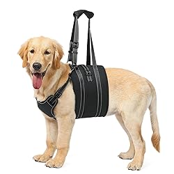 NOYAL Dog Lift Harness Sling - Adjustable Pet