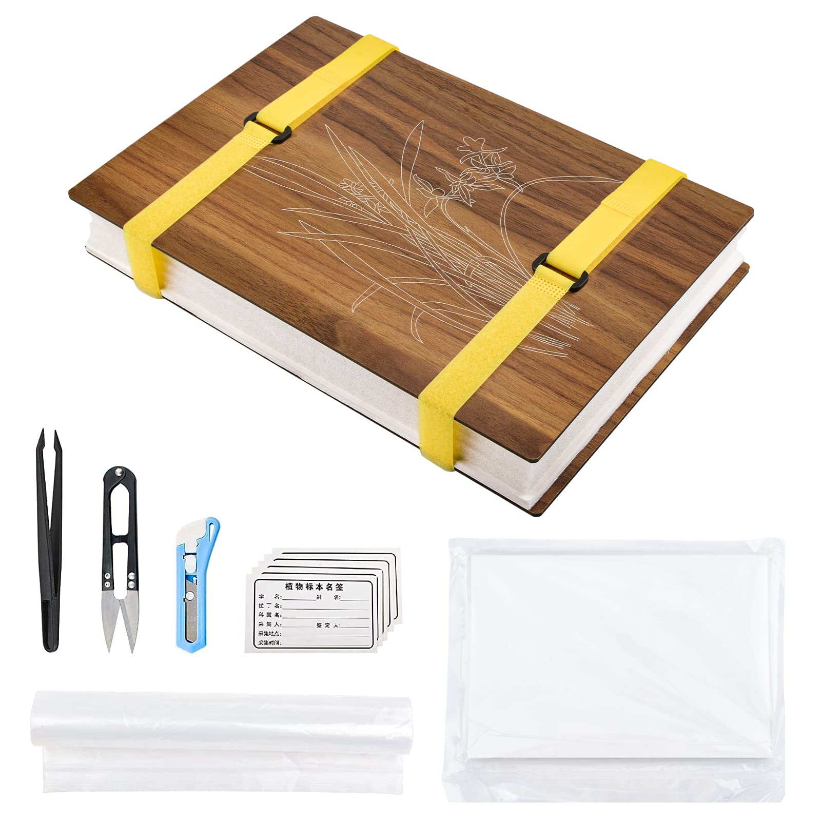 WANDIC Flower Press Kit, Advanced Plant Press Book Large Wooden Art Kit for DIY Art Handicrafts Specimens Outdoor Learning, Orchid