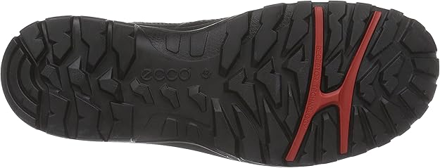 ecco xpedition iii hiking boots