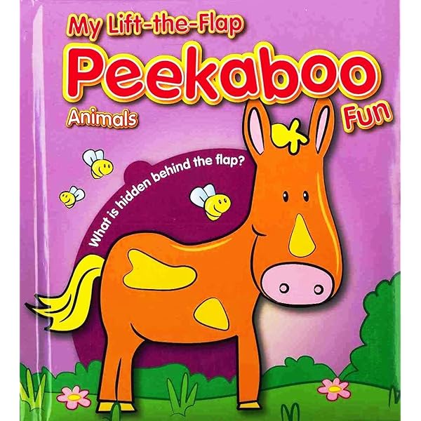 Amazon.com: Shapes, Colors, and Opposites (Maxi Peekaboo