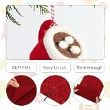 DIVINA VITAE Burgundy Felt Sheets 7 x 11 in 10 Pcs Crafts Sewing view 3