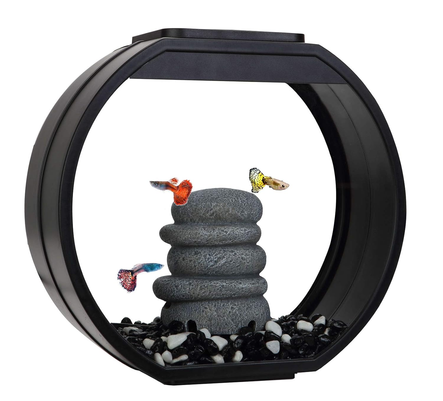 Fish R Fun FRFDECO/MINI/B Deco Fish Tank, 10 Litre, Black Amazon.co