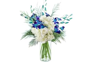 KaBloom Flowers - Moonlight Orchids Bouquet - Gift for Birthday, Sympathy, Anniversary, Get Well, Thank You, Valentine, Mother’s Day Fresh Flowers