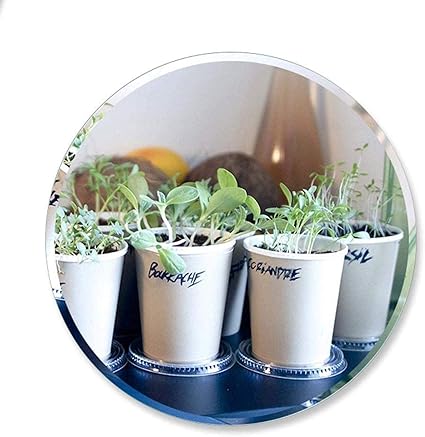 DIELUNY Schminkspiegel Spiegel Runde rahmenlose, stanzfreie Paste