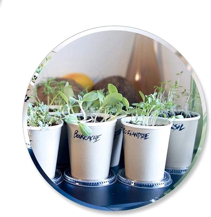 DIELUNY Schminkspiegel Spiegel Runde rahmenlose, stanzfreie Paste