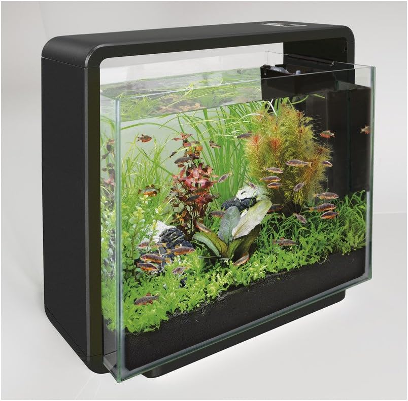 Pets At Home 40 Litre Fish Tank Anna Blog