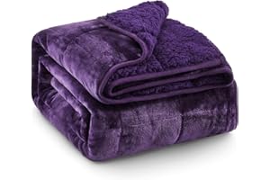 Pawque Sherpa Fleece Weighted Blanket 15lbs Twin Size 48 x 72 Inches, Super Soft Cozy Hug Weighted Blanket for Adults, Fuzzy Fluffy Sherpa Flannel Blanket for Bed Couch Chair, Dual Side Purple