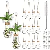 Baderke 12 Pack Hanging Propagation Station 3.9 Inch Plastic Plant Vases with Hooks & Cleaning Brush Clear Window Jars for Plant Clippings, Home Office Decor, Gardening Gifts for Women