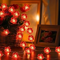 Amazon.com: Coquimbo Valentines Day Decorations Lights, 10FT 30 ...