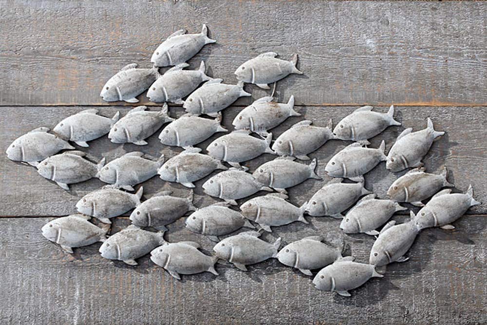 Cuadros de Peces