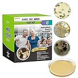 Mold Test Kit for Home Within 6 Individual