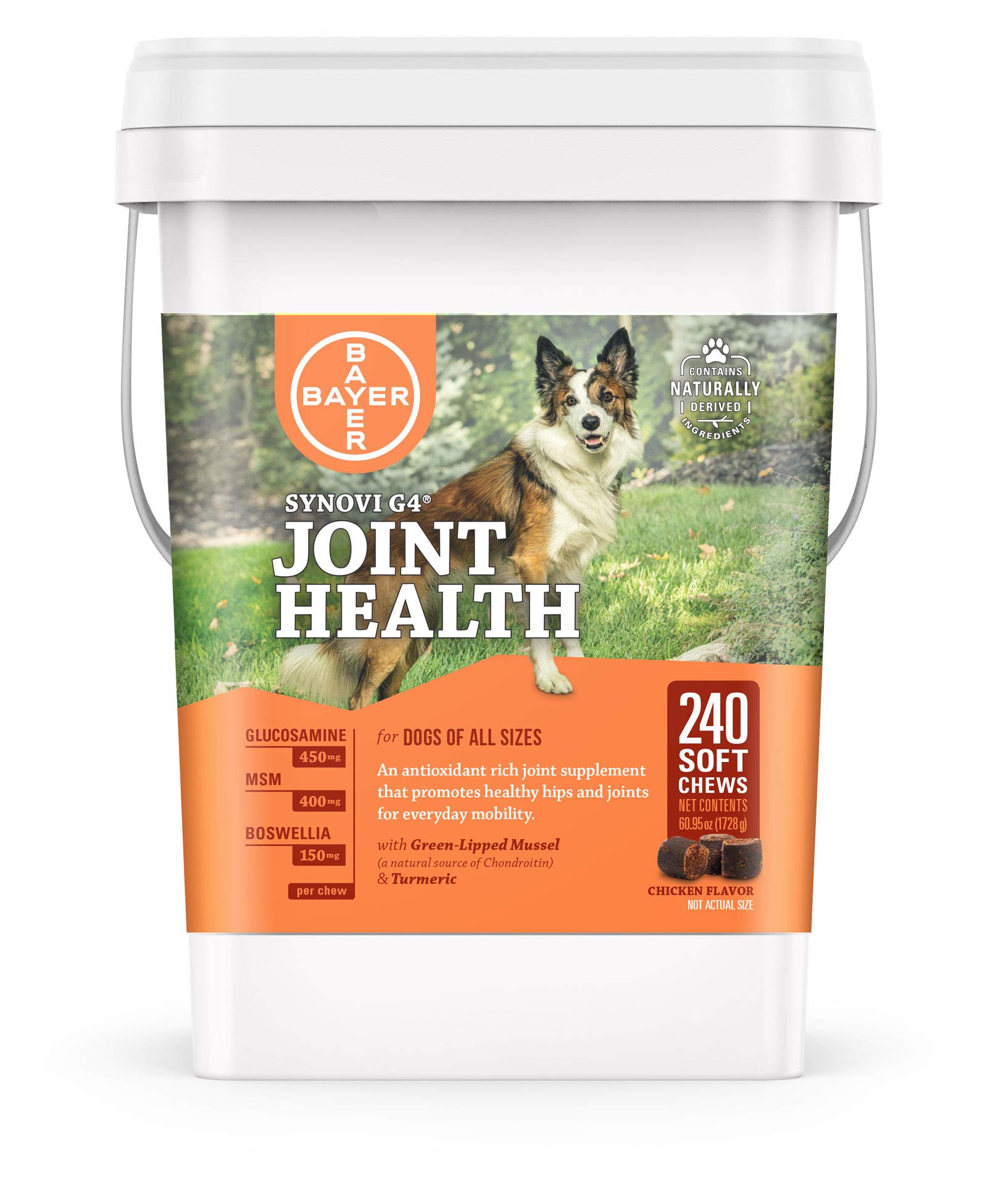 Synovi G4 Dog Joint Supplement Chews for Dogs of All Ages, Sizes and