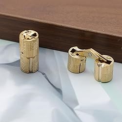 Antrader 4-Pack 10mm Brass Barrel Hinges