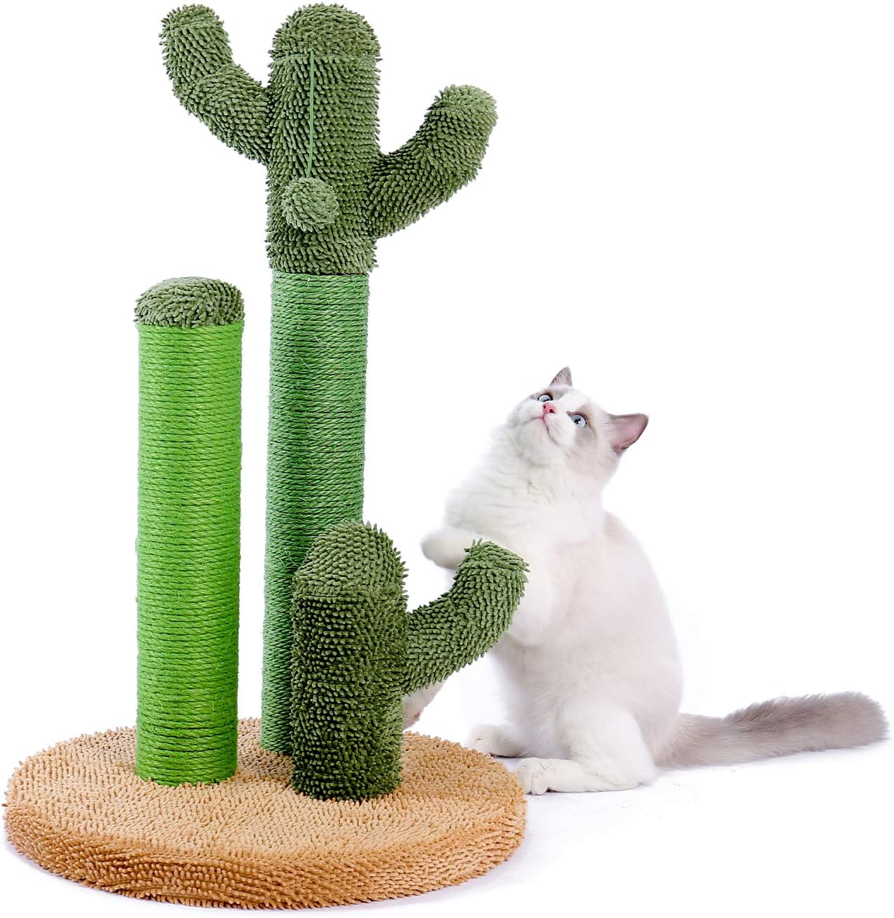 3 with Featuring Scratcher Cat Cactus Post Scratching Cat Road PAWZ