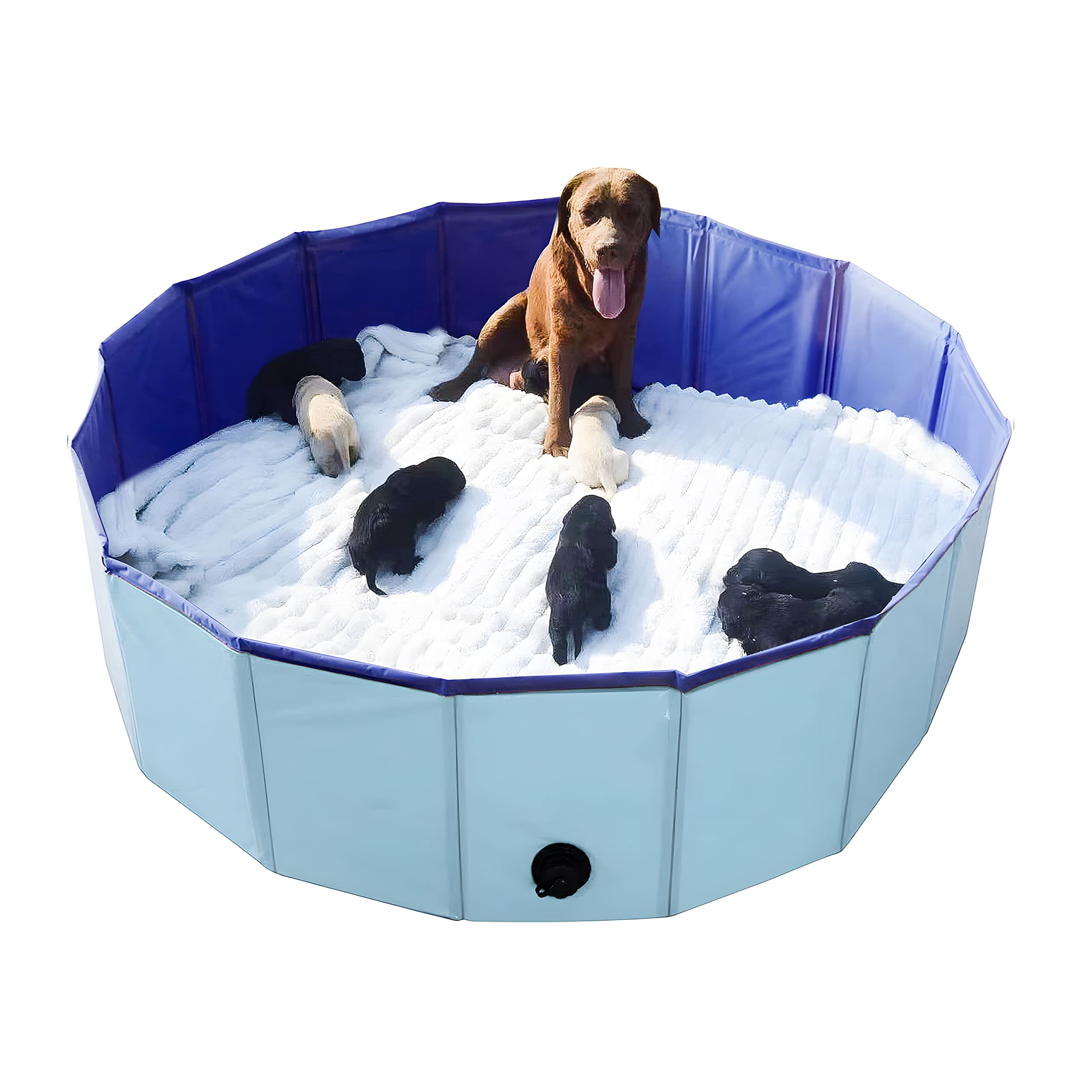 Photo 1 of Artilife Whelping Box for Dogs Welp Box Whelping Pool,Puppy Whelping Pen for Dogs Puppies,Great for Puppies,Easy to Clean (47inch Dia.x12inch H(120x30cm), Blue)