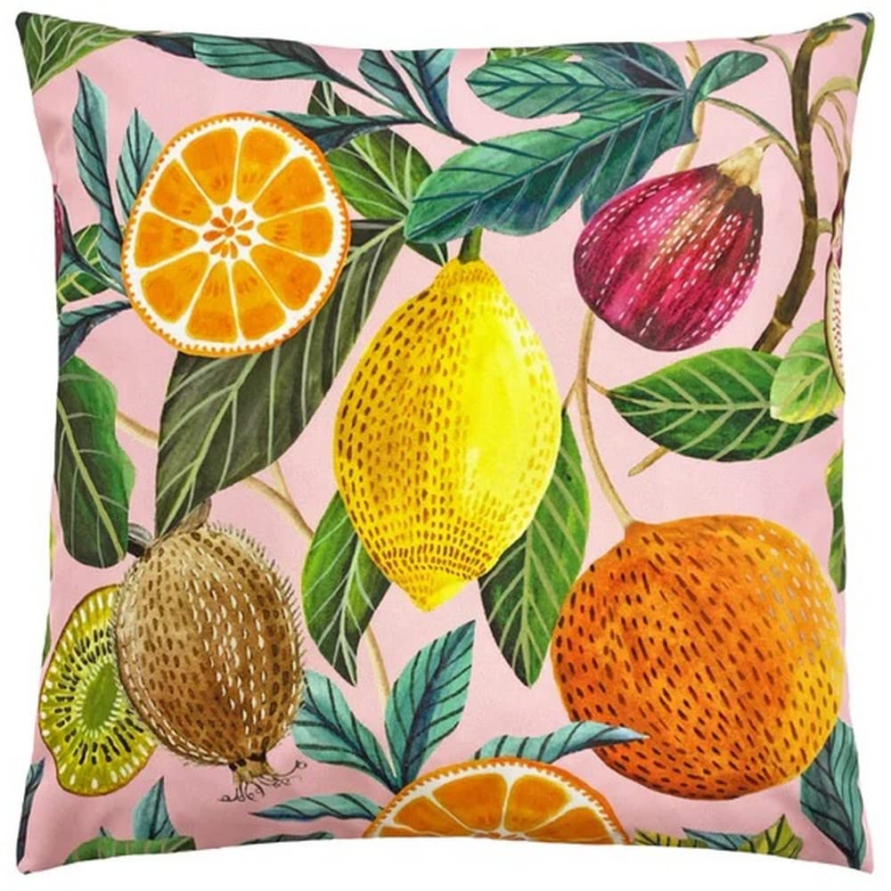 furn. Evans Lichfield Citrus Outdoor Cushion Cover, Multi, 43 x 43cm, CITRUS/CC5/MUL
