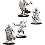 Dungeons & Dragons Nolzur's Marvelous Unpainted Miniatures Bundle: Female Elf Paladin W9 + Male Elf Paladin W9