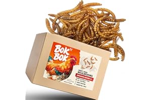 Dried Mealworms 1LB/2LB/4LB, Raised in Canada on Quality Feed, for Chickens and Birds, Hamsters, Reptiles, Fish