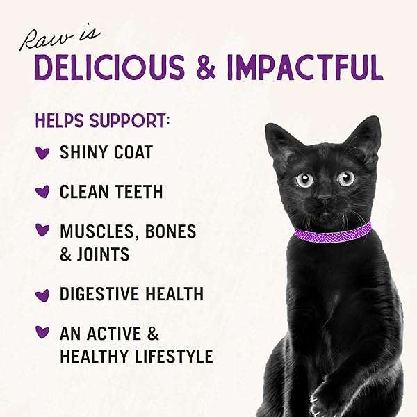 STELLA & CHEWY’S FREEZE-DRIED RAW CAT DINNER MORSELS – PREMIUM BEEF RECIPE WITH 98% GRASS-FED MEAT & ORGANS – NATURAL GRAIN-FREE CAT & KITTEN FOOD – MADE IN USA – 3.5 OZ