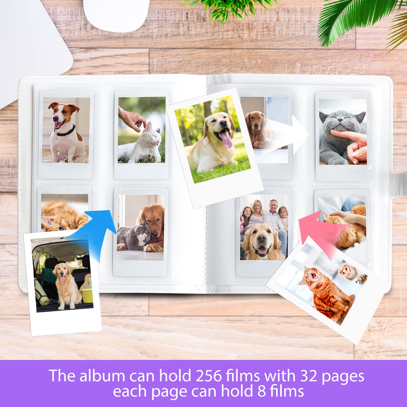 View 5