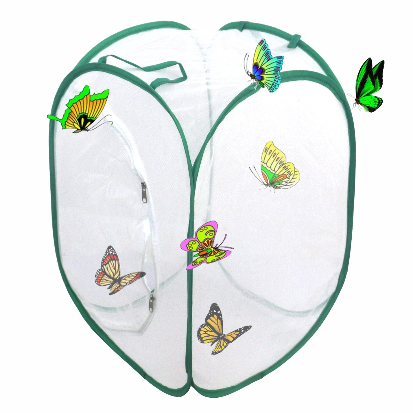 Trasfit Insect and Butterfly Habitat Terrarium - 23.6 Inches Tall