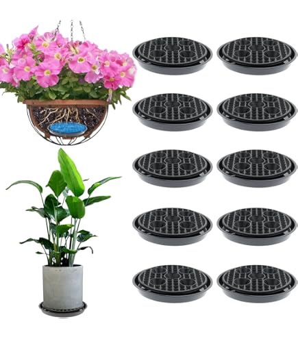 UPINS Invisible Self Watering Planter,6 Set Self Philippines