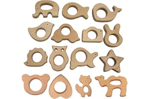 Alenybeby 15pcs Beech Wooden Bird Montessori Toys Home Decorations Wood Cartoon Animal Craft for Handmade Pendant Photography