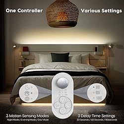 Dual Motion Sensor Light Indoor - Plug-in Motion