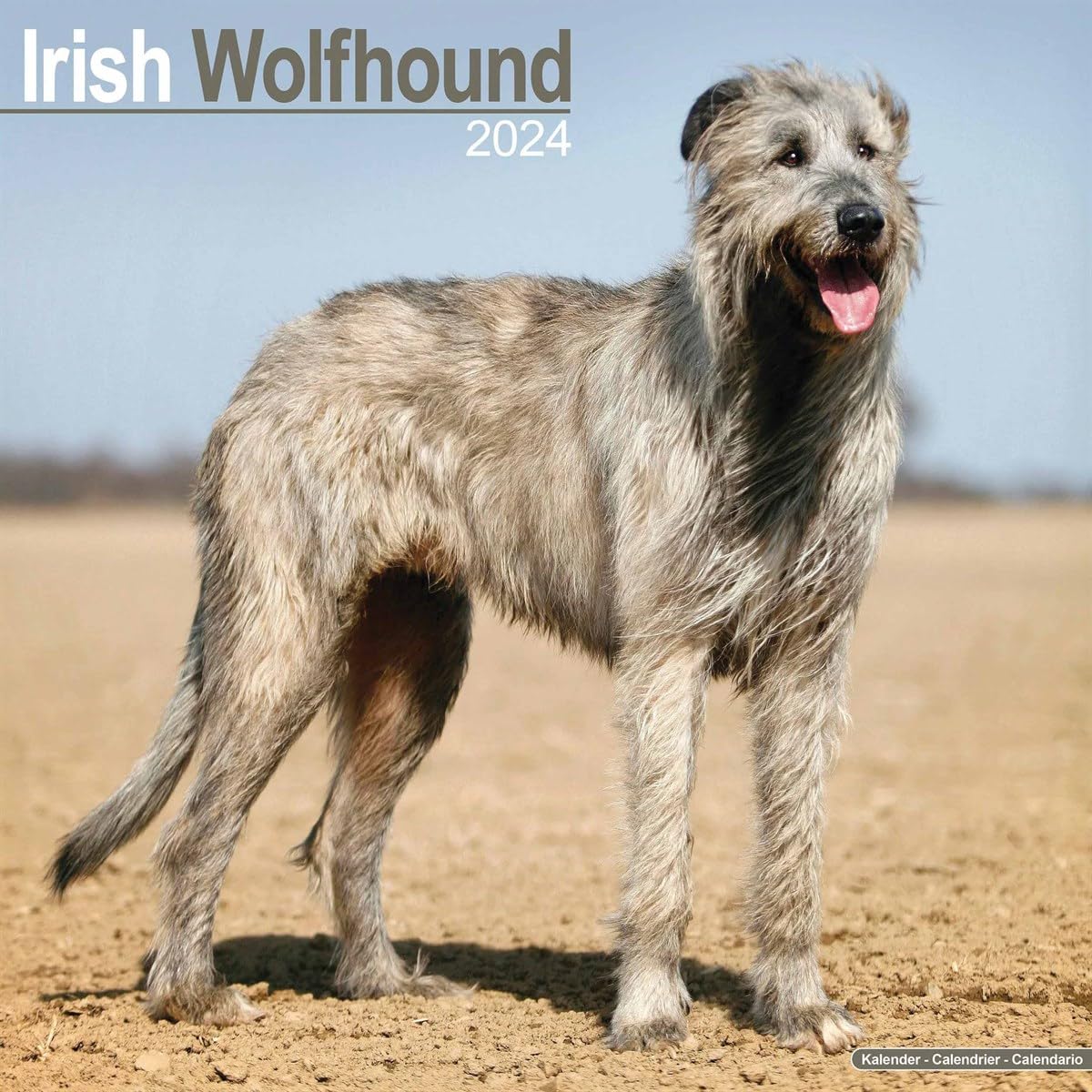 Irish Wolfhound Calendar 2024 | Square Dog Breed Wall Calendar - 16 Month