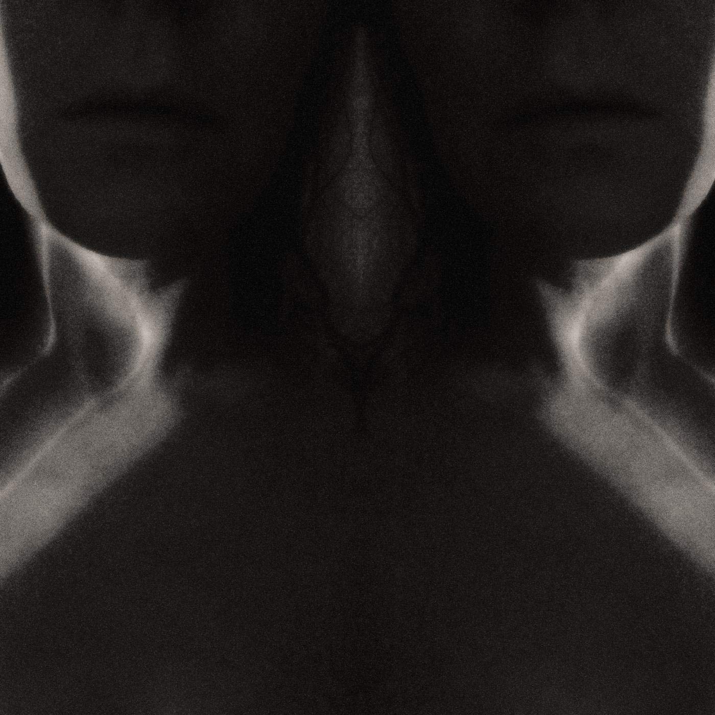 From When I Wake The Want Is [VINYL]