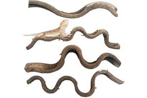 Apatal Reptile Branches for Climbing Natural Snake Climb Branch 4 Pack Wood Forest Tree Trunk Decor Lizard Habitat Terrarium Decorations for Bearded Dragon Geckos Chameleon Frog