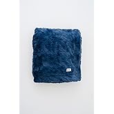 GRACED SOFT LUXURIES Throw Blanket Super Soft Warm Elegant Cozy Comfy Cozy Decorative Textured Faux Fur for Home, Bed, Couch, Sofa, Travel (Large 50" x 60", Blue)