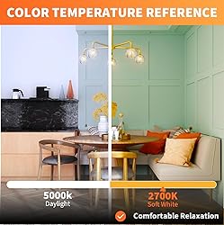 ALAMPEVER Large Globe LED Light Bulbs, Decorative