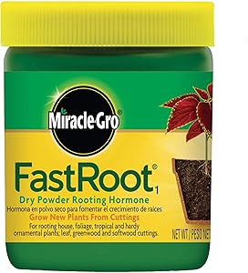 Miracle-Gro FastRoot1 Dry Powder Rooting Hormone 1.25 oz., Houseplant and Succulent Propagation, for Rooting House, Foliage, Tropical, and Hardy Ornamental Plants, 2-Pack