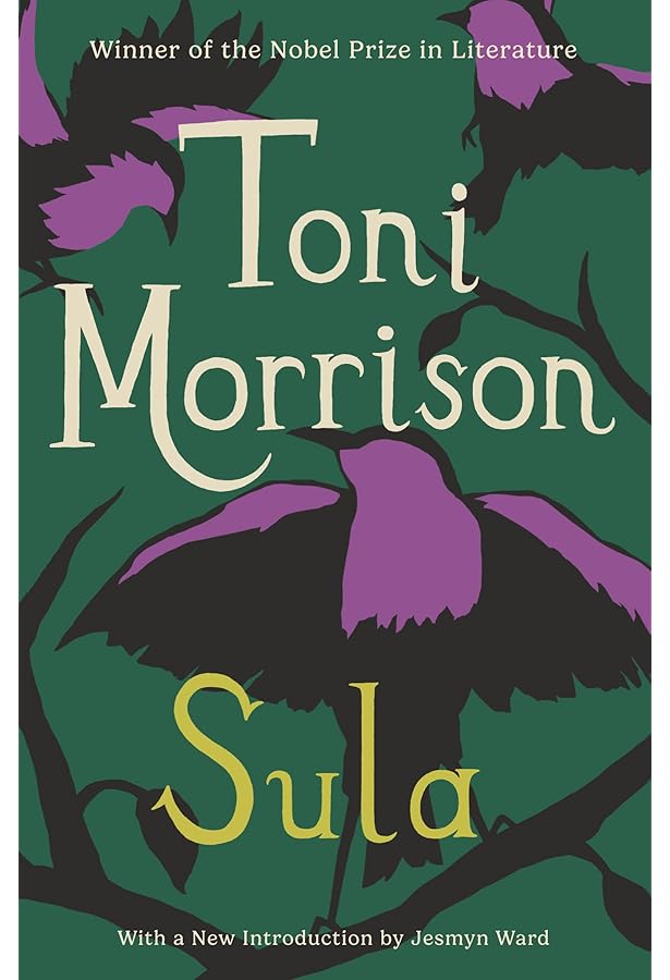 A Mercy: Morrison, Toni: 9780307276766: Amazon.com: Books