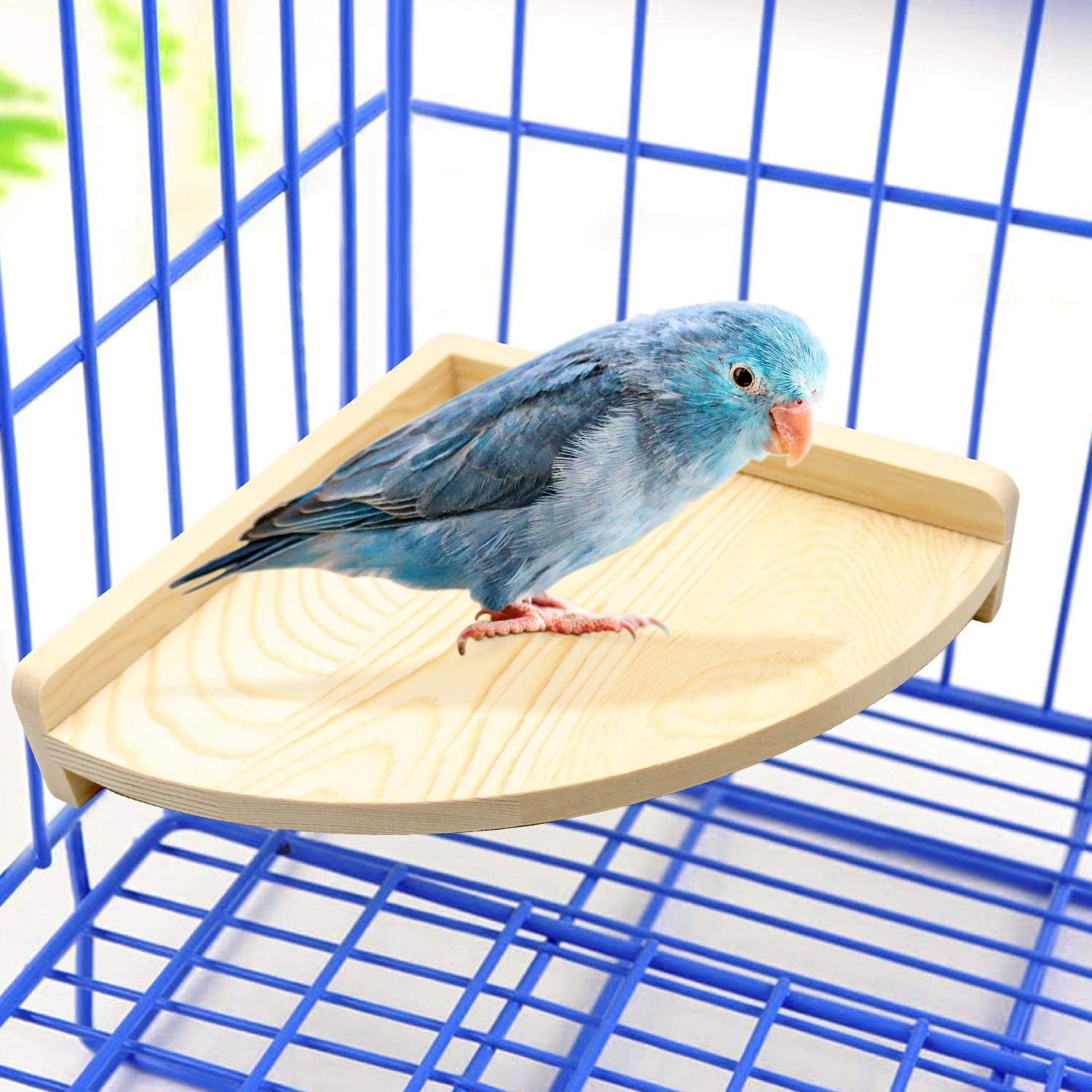 suruikei 2 Pack Bird Perch Platform, Parrot Stand Sector Playground Wood Perch Stand Toy Cage Accessories Exercise Toy for Parakeet Conure Cockatiel Budgie Gerbil Rat Mouse Chinchilla Hamster (Set 1) : Pet Supplies