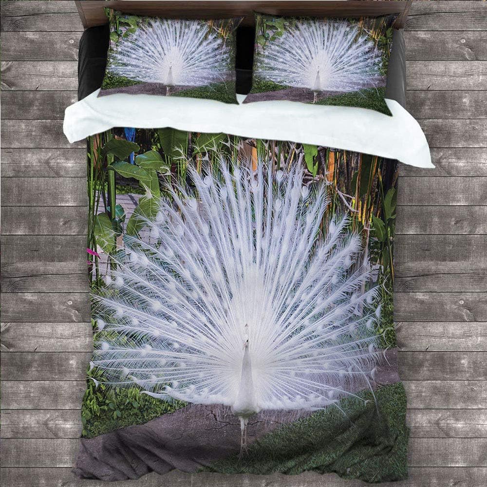 Peacock Duvet Cover Set, Peacock Open His Tail Feathers in