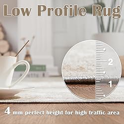 jinchan Area Rug 2x3 Washable Rug Doormat Modern