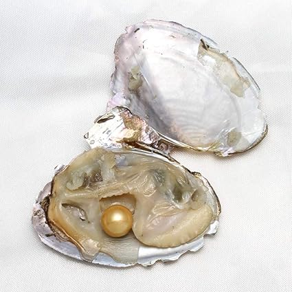 Huitres Avec Perle A L Interieur Love Wish Gris Et Jaune Culture D Eau Douce Jaune Amazon Fr Cuisine Maison