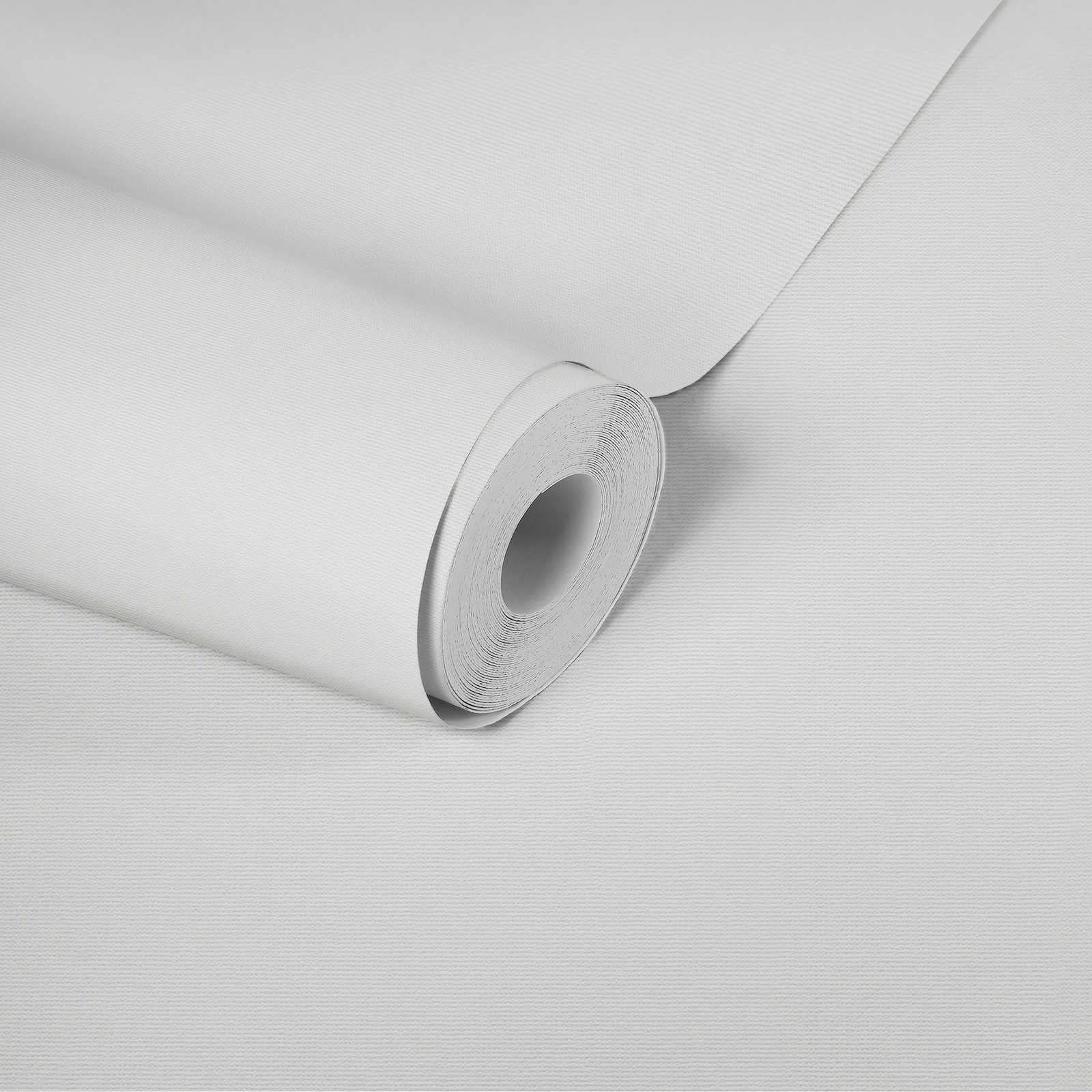 A.S. Création Non-Woven Wallpaper Master Fleece Eco Wallpaper 10.05 m x 0.53 m White Made in Germany 956791 95679-1
