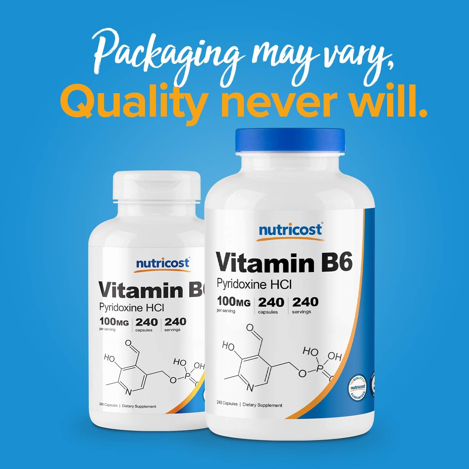Nutricost Vitamin B6 (Pyridoxine HCl) 100mg, 240 Capsules: Health & Personal Care