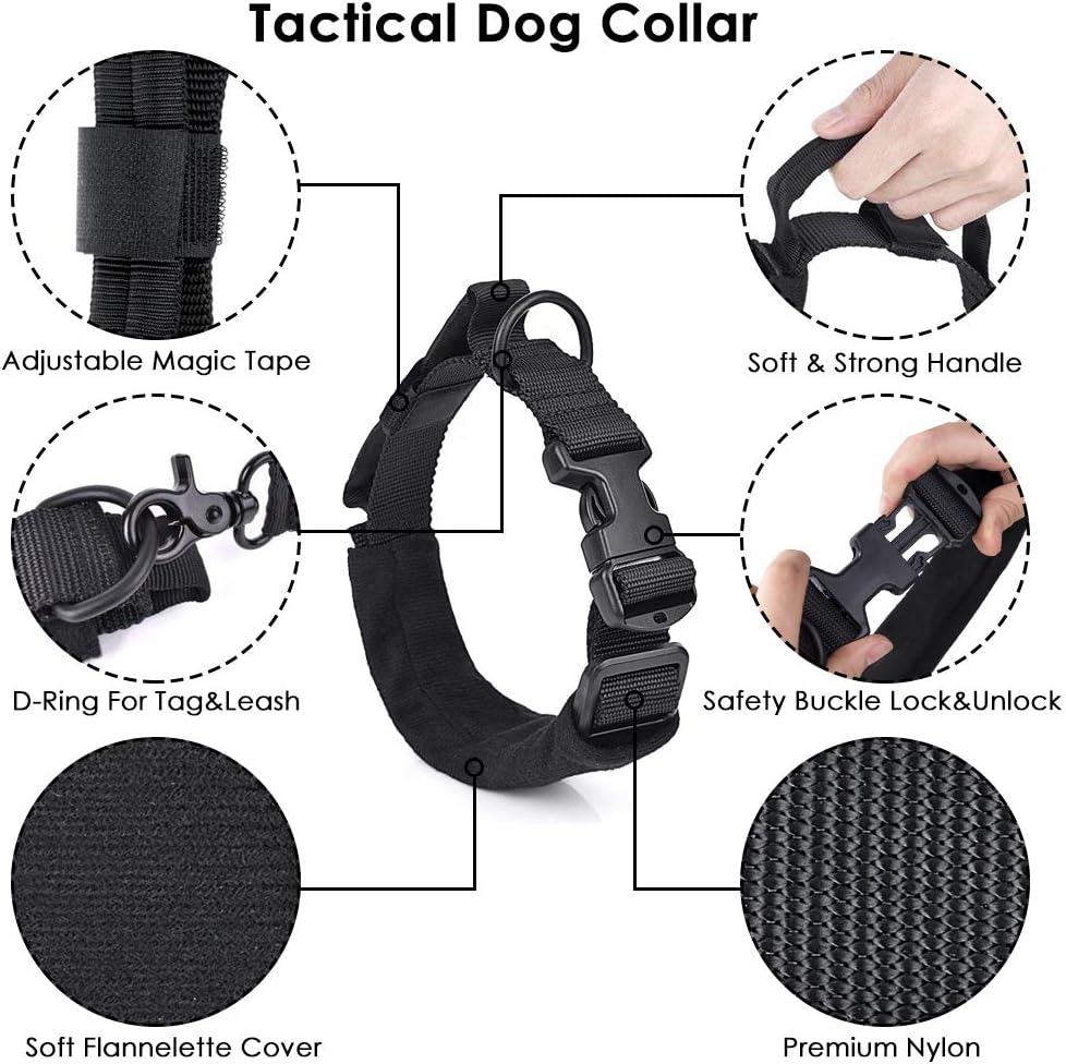 heavy duty dog collars and leashes