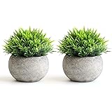 THE BLOOM TIMES 2 Pcs Fake Plants for Bathroom/Home Office Decor, Small Artificial Faux Greenery for House Decorations…