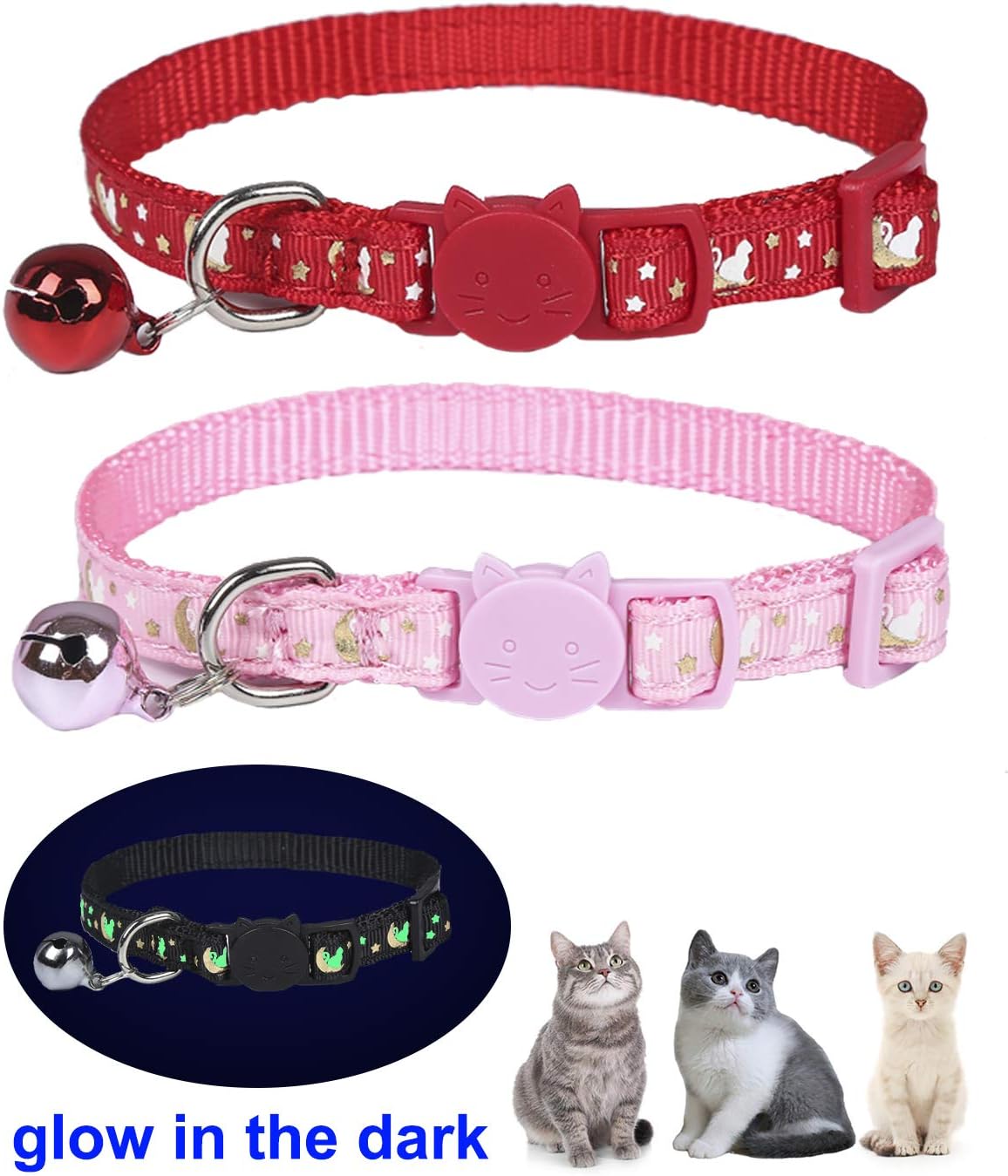 cute boy cat collars